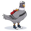 Messenger-Pigeon.jpg